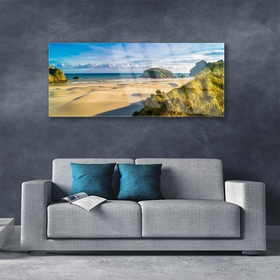 Plexiglas® Wall Art Beach rocks landscape brown grey green