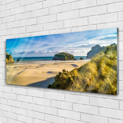 Plexiglas® Wall Art Beach rocks landscape brown grey green