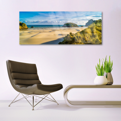 Plexiglas® Wall Art Beach rocks landscape brown grey green