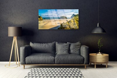 Plexiglas® Wall Art Beach rocks landscape brown grey green