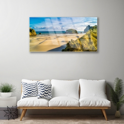 Plexiglas® Wall Art Beach rocks landscape brown grey green