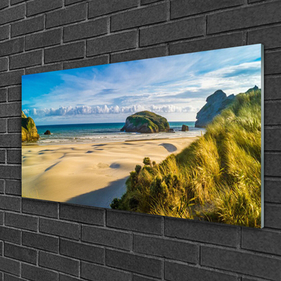 Plexiglas® Wall Art Beach rocks landscape brown grey green