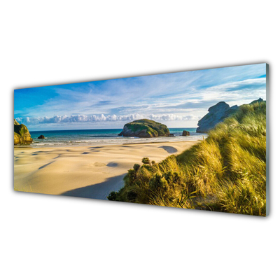 Plexiglas® Wall Art Beach rocks landscape brown grey green