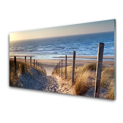 Plexiglas® Wall Art Beach footpath landscape brown