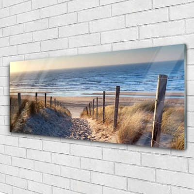 Plexiglas® Wall Art Beach footpath landscape brown