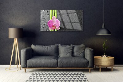 Plexiglas® Wall Art Bamboo tube flower floral green pink