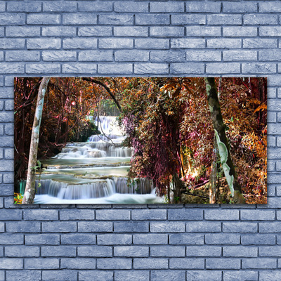 Plexiglas® Wall Art Waterfall forest nature white brown