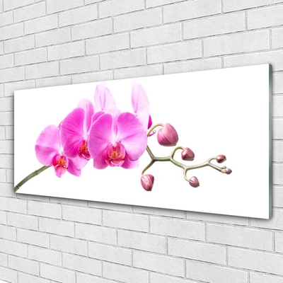 Plexiglas® Wall Art Flowers floral pink