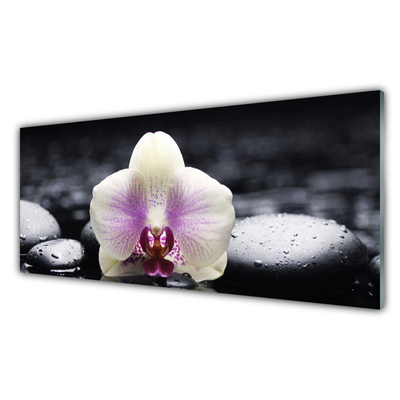 Plexiglas® Wall Art Flower stones floral pink white black