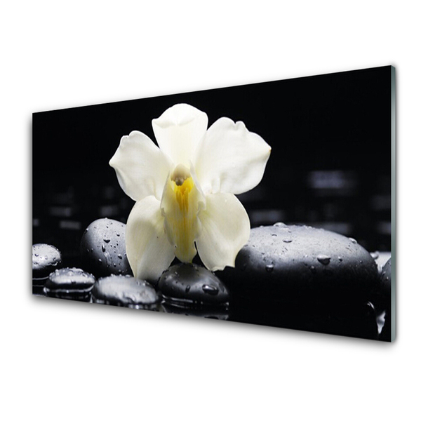 Plexiglas® Wall Art Flower stones floral white black