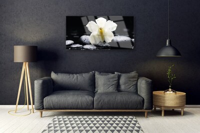 Plexiglas® Wall Art Flower stones floral white black