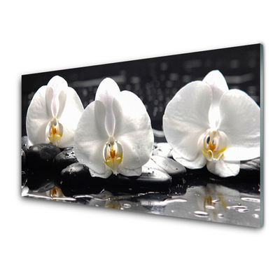 Plexiglas® Wall Art Flower stones floral white black