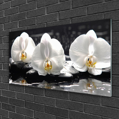 Plexiglas® Wall Art Flower stones floral white black