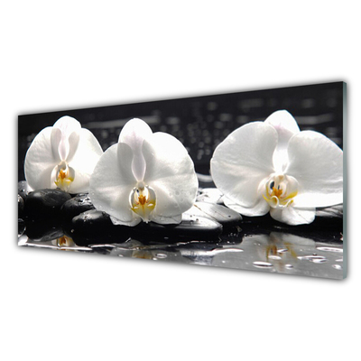 Plexiglas® Wall Art Flower stones floral white black