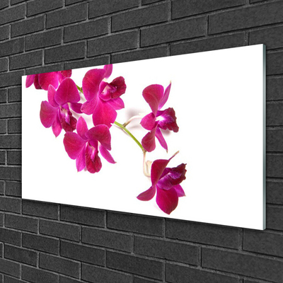 Plexiglas® Wall Art Flowers floral red