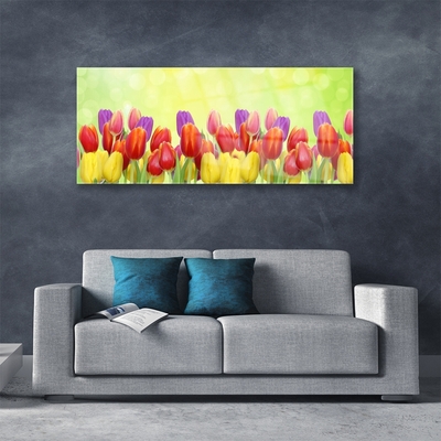 Plexiglas® Wall Art Tulips floral yellow red pink