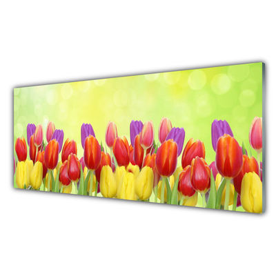 Plexiglas® Wall Art Tulips floral yellow red pink