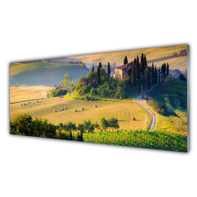 Plexiglas® Wall Art Field trees landscape green brown