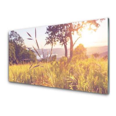 Plexiglas® Wall Art Meadow grass tree nature green brown