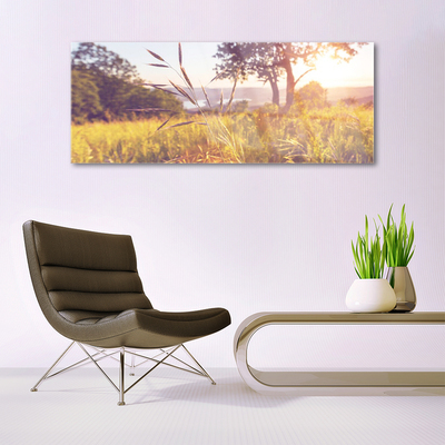 Plexiglas® Wall Art Meadow grass tree nature green brown