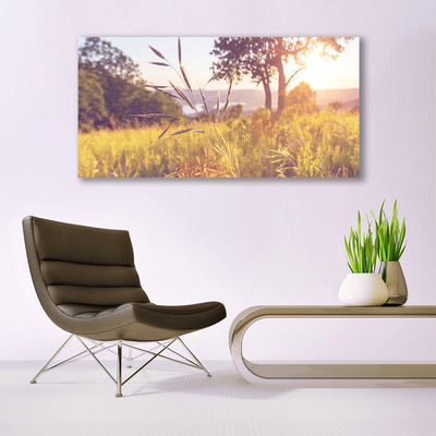 Plexiglas® Wall Art Meadow grass tree nature green brown