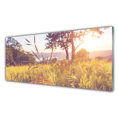 Plexiglas® Wall Art Meadow grass tree nature green brown