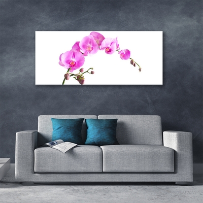 Plexiglas® Wall Art Flowers floral pink