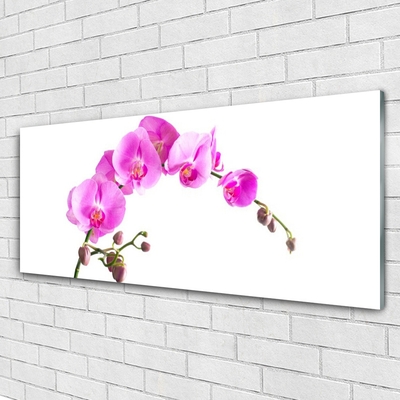 Plexiglas® Wall Art Flowers floral pink