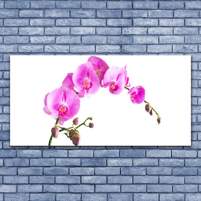 Plexiglas® Wall Art Flowers floral pink