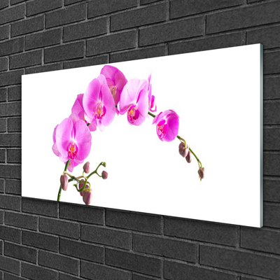 Plexiglas® Wall Art Flowers floral pink