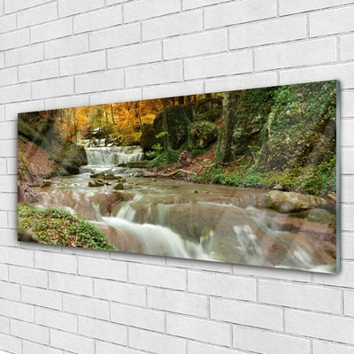 Plexiglas® Wall Art Waterfall forest nature brown green