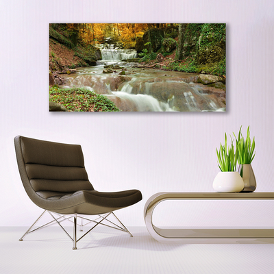 Plexiglas® Wall Art Waterfall forest nature brown green