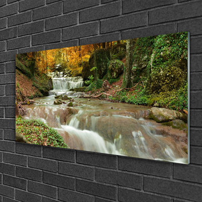 Plexiglas® Wall Art Waterfall forest nature brown green