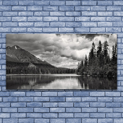 Plexiglas® Wall Art Mountain forest lake nature grey