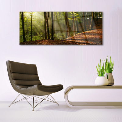 Plexiglas® Wall Art Forest nature brown green