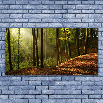 Plexiglas® Wall Art Forest nature brown green