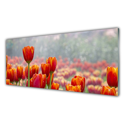 Plexiglas® Wall Art Tulips floral red