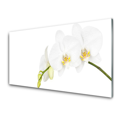 Plexiglas® Wall Art Flowers floral white