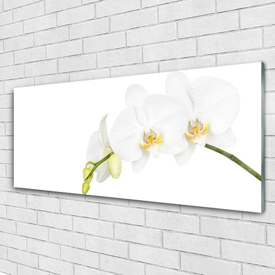 Plexiglas® Wall Art Flowers floral white