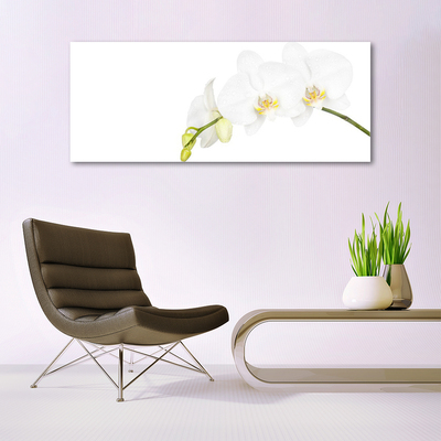 Plexiglas® Wall Art Flowers floral white