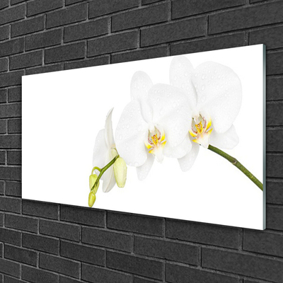 Plexiglas® Wall Art Flowers floral white