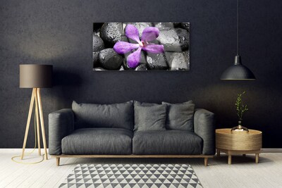 Plexiglas® Wall Art Flower stones art pink black