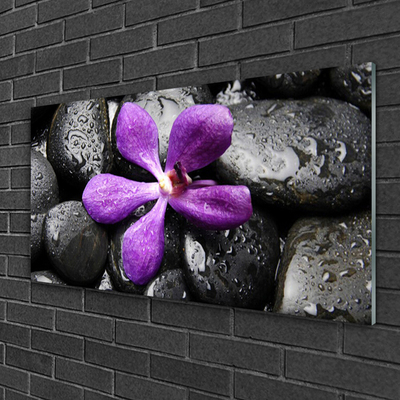 Plexiglas® Wall Art Flower stones art pink black