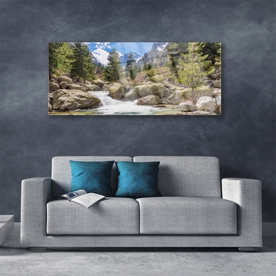 Plexiglas® Wall Art Mountain forest stones lake nature grey brown green white