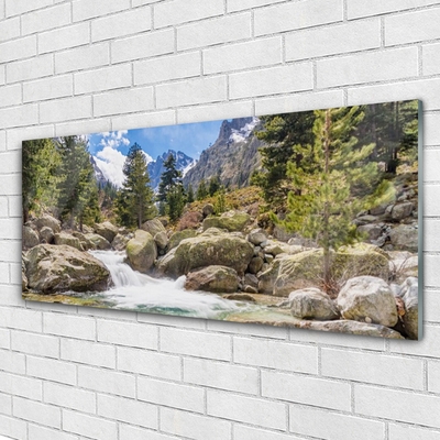 Plexiglas® Wall Art Mountain forest stones lake nature grey brown green white