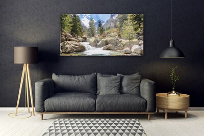 Plexiglas® Wall Art Mountain forest stones lake nature grey brown green white