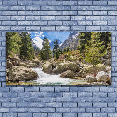 Plexiglas® Wall Art Mountain forest stones lake nature grey brown green white