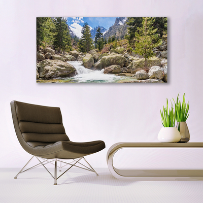 Plexiglas® Wall Art Mountain forest stones lake nature grey brown green white