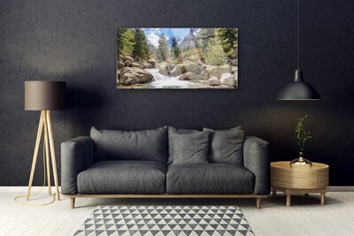 Plexiglas® Wall Art Mountain forest stones lake nature grey brown green white