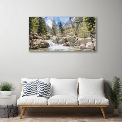 Plexiglas® Wall Art Mountain forest stones lake nature grey brown green white